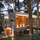 Image for article titled 8 Buildings Designed to Incorporate the Trees Around Them